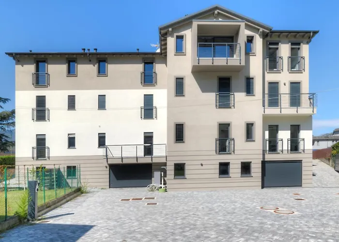 Ct Executive * Dubino